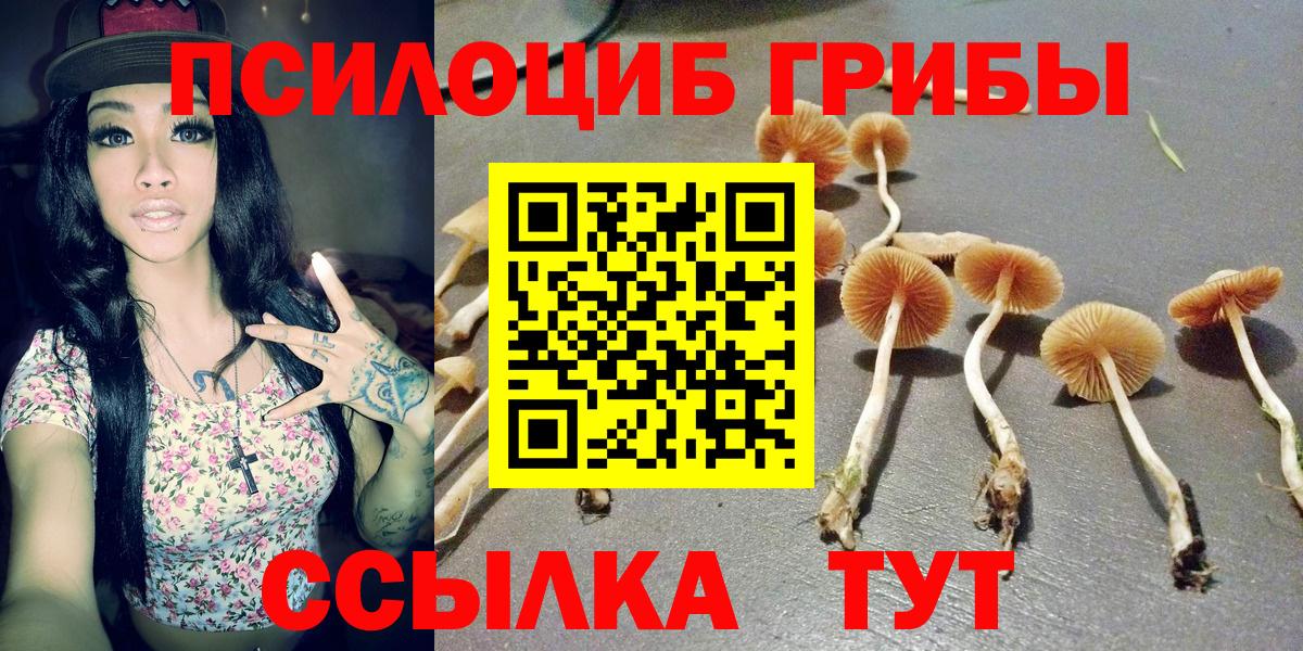 Псилоцибиновые грибы Magic Shrooms Ливны