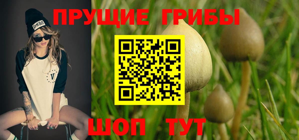 Ливны  Галлюциногенные грибы MAGIC MUSHROOMS  Вход с VPN 